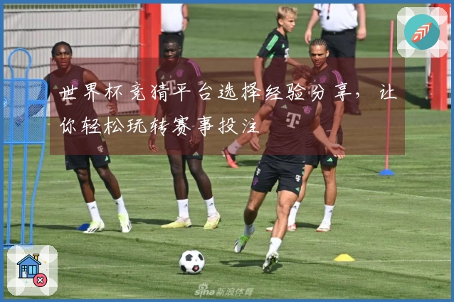世界杯竞猜平台选择经验分享，让你轻松玩转赛事投注