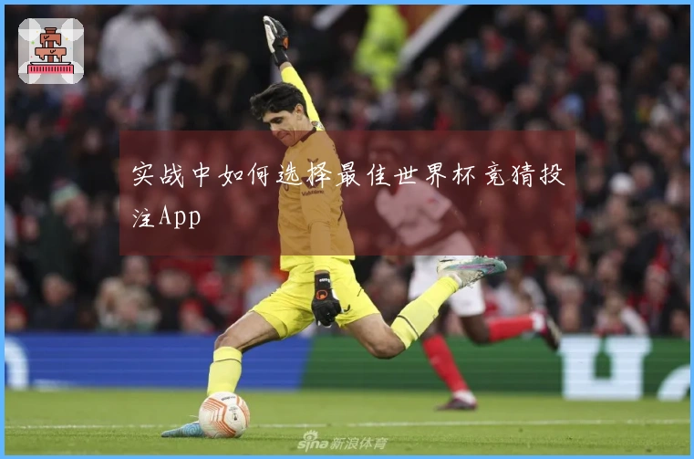 实战中如何选择最佳世界杯竞猜投注App