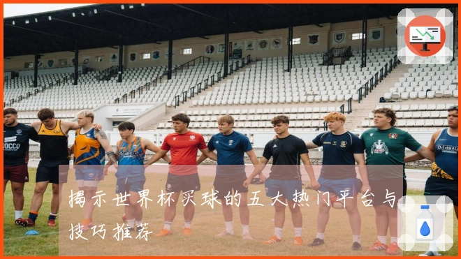 揭示世界杯买球的五大热门平台与技巧推荐