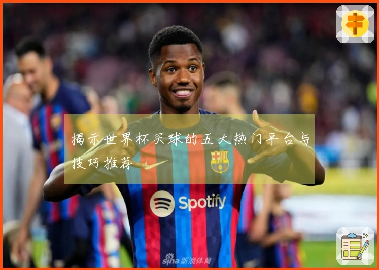 揭示世界杯买球的五大热门平台与技巧推荐