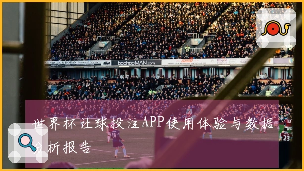 世界杯让球投注APP使用体验与数据分析报告