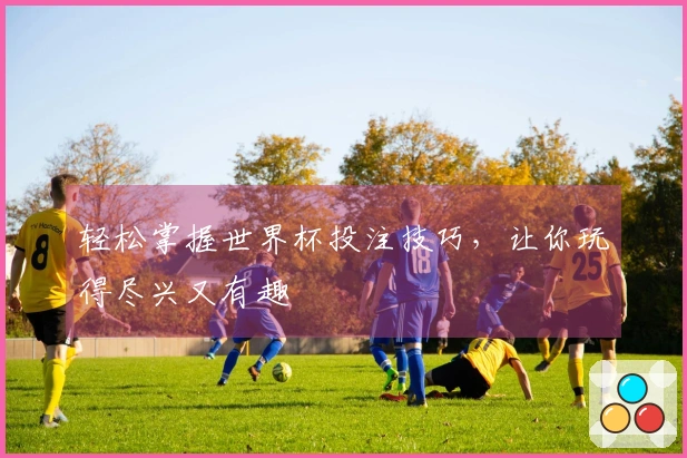 轻松掌握世界杯投注技巧，让你玩得尽兴又有趣